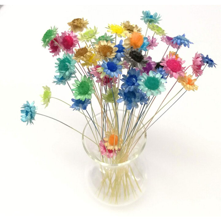 楽天市場 そらプリ クリアリウム Senca 染花 スプレー 12色セット Ep042 01 取寄 花資材 道具 グリッター カラースプレー 花 材通販はなどんやアソシエ