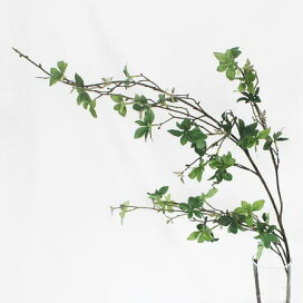 楽天市場 生花 切り花 枝物 花木類 花材通販はなどんやアソシエ