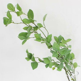 楽天市場 ドウダンツツジ 枝 花 観葉植物 花 ガーデン Diy の通販