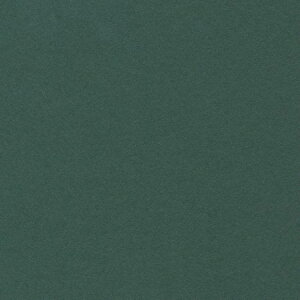 HOSHINO/x[VbNJ[hMi50jNO.16i_[NO[j100x185/323096y07z bsOpi A bZ[WJ[h O[eBOJ[h