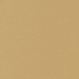 HOSHINO/x[VbNJ[hLi50jNO.6iLj130x270/323186y07z bsOpi A bZ[WJ[h O[eBOJ[h