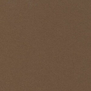 HOSHINO/x[VbNJ[hLi50jNO.8i_[NuEj130x270/323188y07z bsOpi A bZ[WJ[h O[eBOJ[h