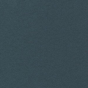 HOSHINO/x[VbNJ[hLi50jNO.10i_[Nu[j130x270/323190y07z bsOpi A bZ[WJ[h O[eBOJ[h