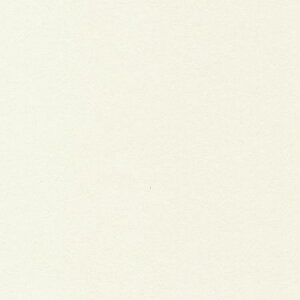 HOSHINO/x[VbNJ[hLi50jNO.13izCgj130x270/323193y07z bsOpi A bZ[WJ[h O[eBOJ[h