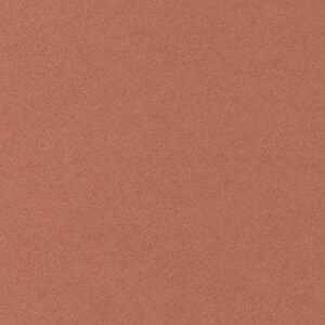 HOSHINO/x[VbNJ[hLi50jNO.15iAo[bhj130x270/323195y07z bsOpi A bZ[WJ[h O[eBOJ[h