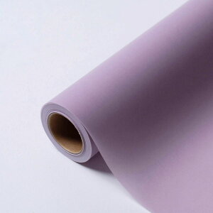 HOSHINO/uNO.04ip[vj65x20/331284y07z bsOpi A bsOy[p[() aEN[v