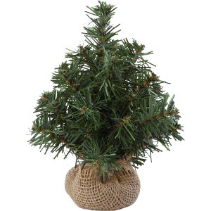 yԁzYDM/20cmo[bvc[/CAB-052y01z X܃fBXvCEX NX}XfBXvC NX}Xc[