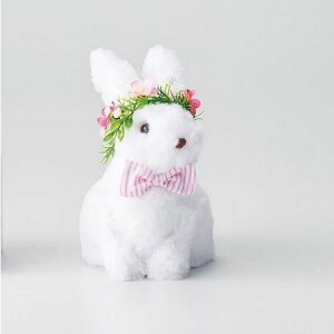 Paseo/ԃETM/63-06WHy01z[2] ԎށEt[Xg fR[Vp[cEf ʂ/l`