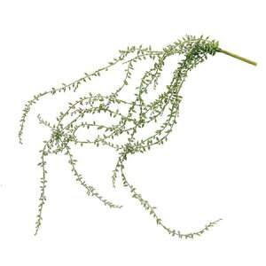 yԁzPOSH LIVING/O[lbNX/80911y07z ԁiA[eBtBVt[j ԗtAtFCNO[ A