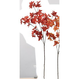 楽天市場 ドウダンツツジ 赤 花 ガーデン Diy の通販