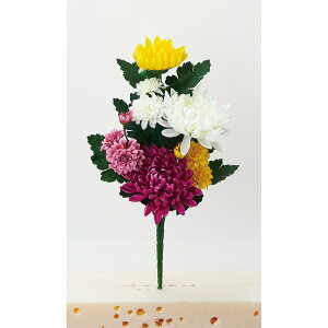   yԁzAXJ/ ~bNX/A-34071-046y01z dp p  tďH~