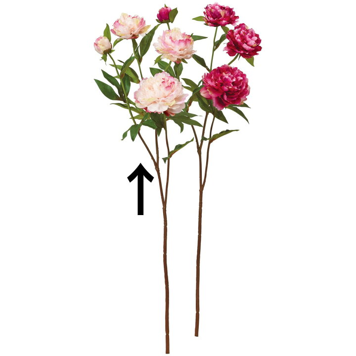 楽天市場 造花 アスカ ピオニー 3 つぼみ 1 ピンク A 003 01 取寄 造花 アーティフィシャルフラワー 造花 花材 さ行 シャクヤク 芍薬 ボタン 牡丹 ピオニー 花材通販はなどんやアソシエ 楽天市場 造花 アスカ ピオニー 3 つぼみ 1 ピンク A 003 01 取寄 造花 アーティフィシャルフラワー 造花 花材 さ行 シャクヤク 芍薬 ボタン 牡丹 ピオニー 花材通販はなどんやアソシエ