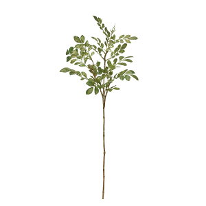 �y���ԁz�A�X�J/�g�l���R �I���[�u/A-74544-054�y01�z ���ԁi�A�[�e�B�t�B�V�����t�����[�j ���Ԏ}�� ���̑��̑��Ԏ}��