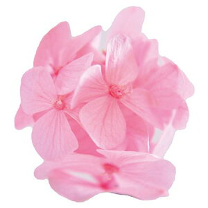 yvU[uhzt[Go[/v^|e AfXAWTC 35{ xCr[sN/FLPP2911-07y01z vU[uht[ vU[uht[ԍ izԁj