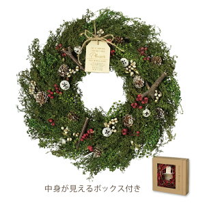 クリスマス リース 材料の人気商品 通販 価格比較 価格 Com クリスマス リース 材料の人気商品 通販 価格比較 価格 Com