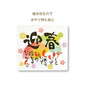 GREENHOUSE/NY|GJ[h M K̐q|G/NY184-Ay01z[10] bsOpi A bZ[WJ[h O[eBOJ[h