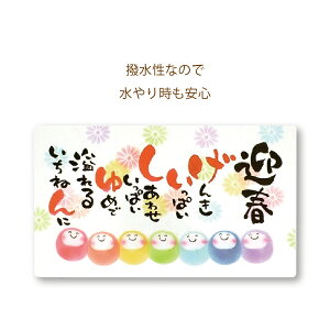 GREENHOUSE/NY|GJ[h M K̎܃|G/NY185-Ay01z[10] bsOpi A bZ[WJ[h O[eBOJ[h