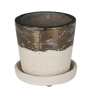 �A�ؔ� ������� �_���g��/TERRACOTTA BICOLOR POT S/G20-0202S�y08�z �K�[�f�j���O�E���|�p�i �t�����[�|�b�g �e���R�b�^(�f�Ă�)