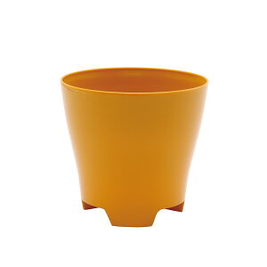 Jo[  DoLABO/Plastia t[|bg i11 nj[/42210y07z[12] K[fjOE|pi t[|bg Jo[