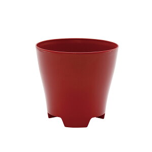 DoLABO/Plastia t[|bg i11 bh /42212y07z[12] K[fjOE|pi AؔEt[|bg Jo[