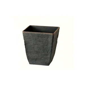 Aؔ  FV/eB[GRXXNGAMDB/AK138y01z K[fjOE|pi t[|bg 