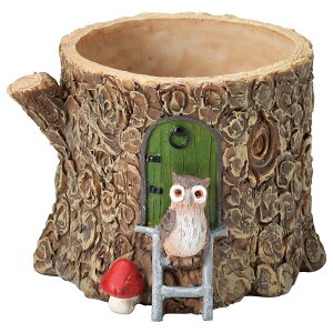 Aؔ  FV/IE]|bg/5E3665y01z K[fjOE|pi t[|bg `[t