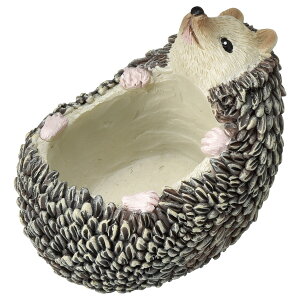 Aؔ  FV/Gb\|bgS/5E3705y01z K[fjOE|pi t[|bg `[t