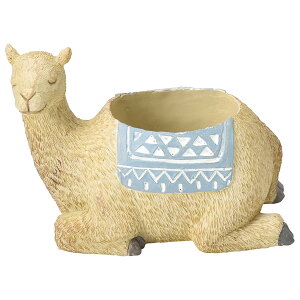 Aؔ  FV/V[TX[|bg/5E3711y01z K[fjOE|pi t[|bg `[t