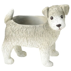 Aؔ  FV/WjI[|bg/5E3715y01z K[fjOE|pi t[|bg `[t