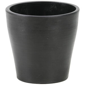 SG Wonder zone/SPGR|bg@15@/132-150025-11y07z ԊA[X ԊEԕr vX`bNEANԊ