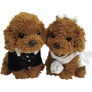 v~Aps[EGfBO53032 gCv[h bh/189-530321-0y01z ԎށEt[Xg fR[Vp[cEf ʂ/l`