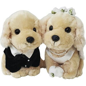 v~Aps[EGfBO53035 RbJ[XpjG/189-530352-0y01z ԎށEt[Xg fR[Vp[cEf ʂ/l`