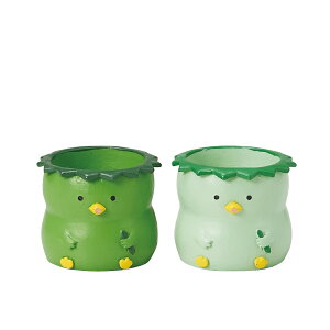 Aؔ  GREENHOUSE/gW|bg Jbp /2×e3/4814Sy01z[6] K[fjOE|pi t[|bg `[t