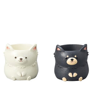 Aؔ  GREENHOUSE/gW|bg ` /2×ue1v/4790Sy01z[2] K[fjOE|pi t[|bg `[t