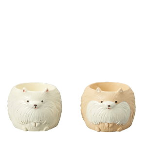 Aؔ  GREENHOUSE/gW|bg |jA /2×ue1v/4793Sy01z[2] K[fjOE|pi t[|bg `[t