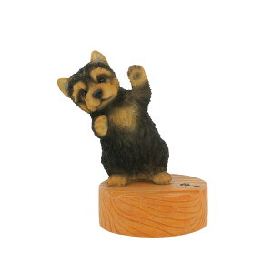 Bennyfs/X}zX^h/QY-218Iy08z X܃fBXvCEX G [