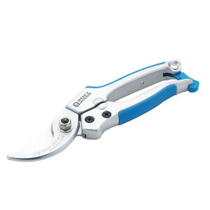 DoLABO/S&J �J���[����΂��� �u���[/42053�y07�z[2��] �K�[�f�j���O�E���|�p�i �c�[��(����) ���|�͂��� �� �O�b�Y ���� �_��� ������� ���킢��