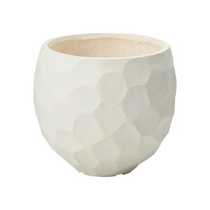 Aؔ  FV/WIg[V[gCW/GF3553y01z K[fjOE|pi t[|bg OXt@Co[