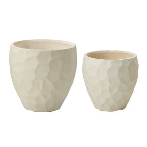 Aؔ  FV/WIg[2_ZbgCW/GF3557y01z K[fjOE|pi t[|bg OXt@Co[