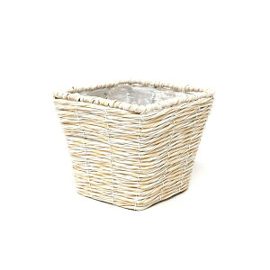 EU/PEN| D3A5p Pt N|/BC-12336y07z ԊA[X ԂEt[oXPbg tFCNfރoXPbg