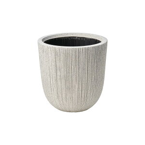 Aؔ  FV/[jo[eBJT[NLBE/AK314y01z K[fjOE|pi t[|bg 