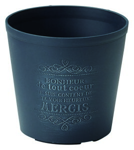 �A�ؔ� ������� �F�V/�{���t�F�b�g�T�[�N��NE/MS899�y01�z �K�[�f�j���O�E���|�p�i �t�����[�|�b�g ����������