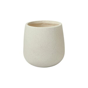 Aؔ  FV/IfBl[EhMW/GF3691y01z K[fjOE|pi t[|bg OXt@Co[