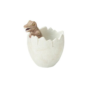 Aؔ  FV/fBm][T[N|bg/5E3769y01z K[fjOE|pi t[|bg W