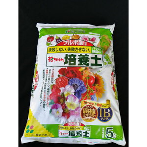 Ԃ/t{_z@Ԃ|{y@5L/1701106y01z K[fjOE|pi |py pyA|{y