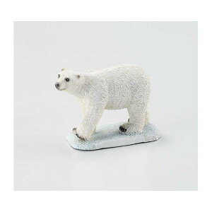 ۘaf/gfB[ N}/400682100y07z[6P] X܃fBXvCEX uEIuWF ~j`AIuWF