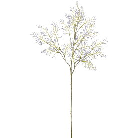 楽天市場 ブルーファンタジア 花の通販 楽天市場 ブルーファンタジア 花の通販