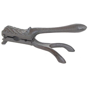 cY/gCJg[bN/6130y07z X܃fBXvCEX G Lb`pi