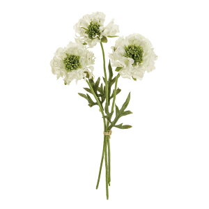 �y���ԁzMAGIQ������/�t�����W�X�J�r�I�T #1 WHITE/FM009378-001�y01�z ���� �A�[�e�B�t�B�V�����t�����[ �X�J�r�I�T�t�F�C�N�t�����[ �t�����[�A�����W�ԍ� ������� �n���h���C�h�ޗ� �N���t�g�f