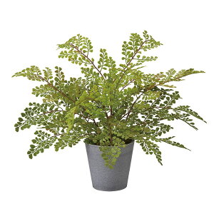 ylHϗtAzMAGIQ/AWA^|bg GREEN/FZ001491y01z ԁiA[eBtBVt[j ԗt ԁElHϗtA |bg